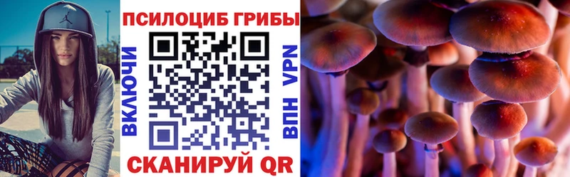 hydra онион  Нолинск  Псилоцибиновые грибы прущие грибы 