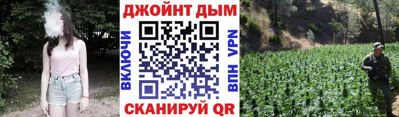 Конопля AK-47  продажа наркотиков  Нолинск 